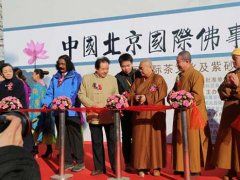 會(huì)展哥的頭像