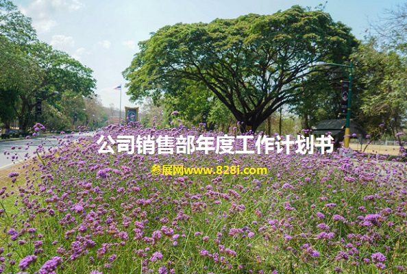 公司銷售部年度工作計(jì)劃書范文怎么寫(m.hnhuay.cn)