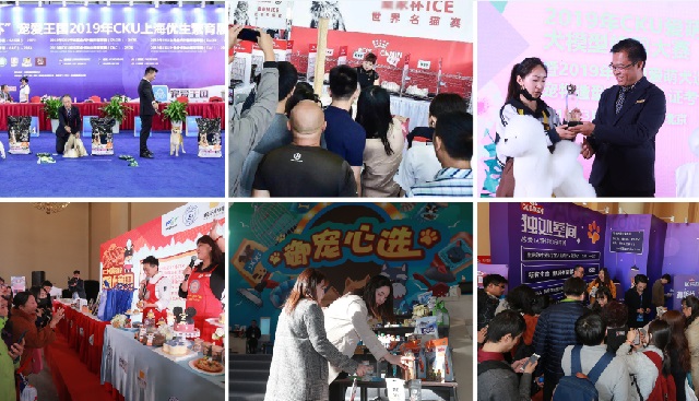 深圳華南寵物用品展覽會PetFair South China(m.hnhuay.cn)