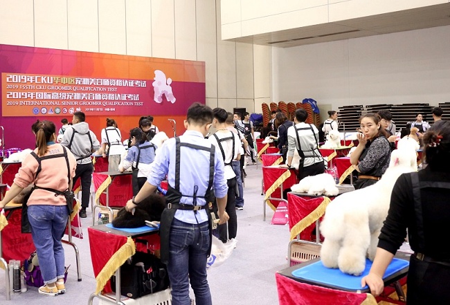2020鄭州寵物用品展覽會將于10月在鄭州國際會展中心舉行(m.hnhuay.cn)