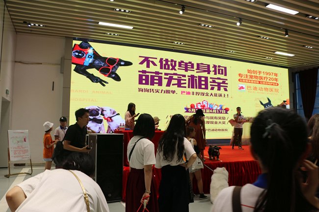 2020廣西寵物博覽會將于11月6日舉辦 展位即將售罄(m.hnhuay.cn)