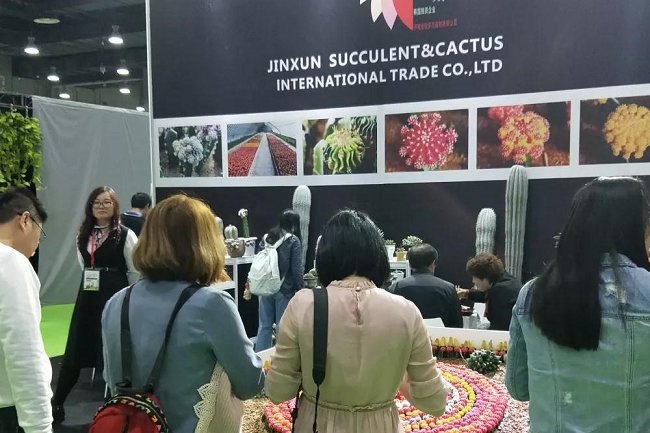 亞洲國際花卉園藝展覽會Flower Expo Asia(m.hnhuay.cn)