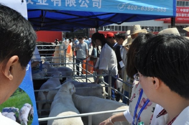 中國畜牧業博覽會CAHE(m.hnhuay.cn)