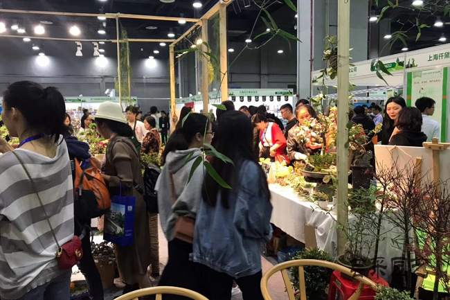 2021亞洲花卉產業博覽會Flower Expo報名地址(m.hnhuay.cn)