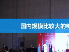 國內規模比較大的糖酒會是哪個？