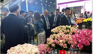 2022第14屆廣州國際花卉盆栽及花店花園用品展覽會(m.hnhuay.cn)