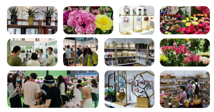2022廣州鮮花植物博覽會(huì)(m.hnhuay.cn)