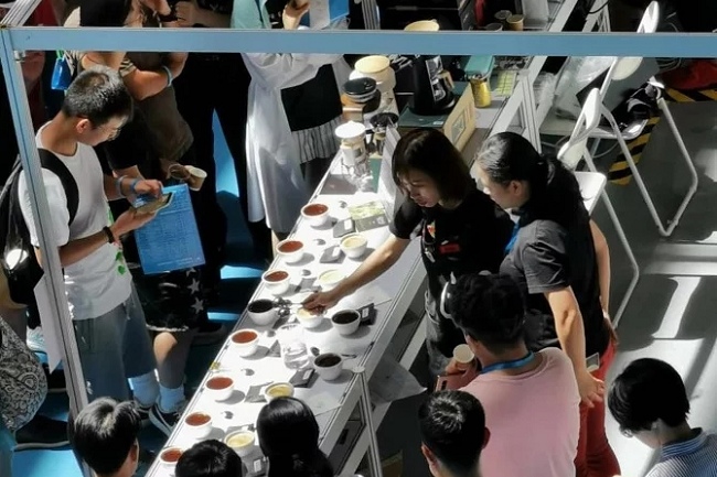 2022深圳咖啡與茶飲品展將于12月舉行(m.hnhuay.cn)