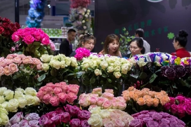2022中國(guó)昆明國(guó)際花卉展覽會(huì)將于9月23日舉行(m.hnhuay.cn)