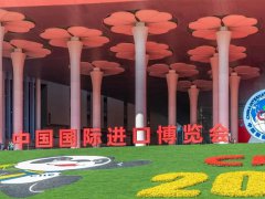上海進博會門票如何申請？門票價格多少錢？