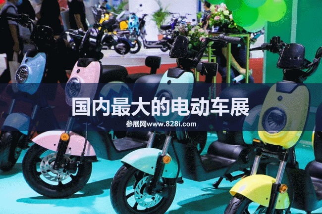 國內(nèi)最大的電動(dòng)車展會(huì)