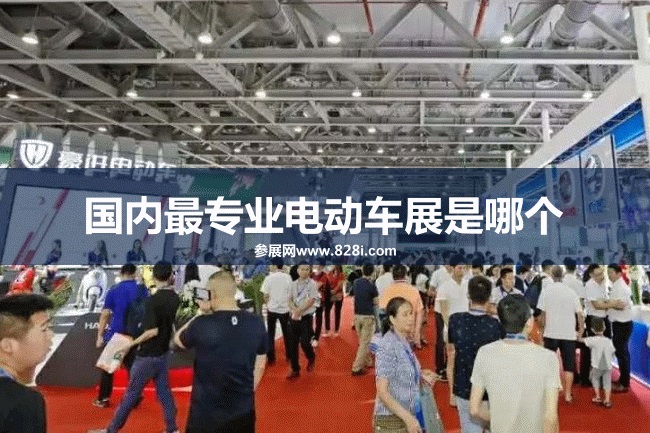 國(guó)內(nèi)最專業(yè)的電動(dòng)車展是哪個(gè)？廣州電動(dòng)車展(m.hnhuay.cn)