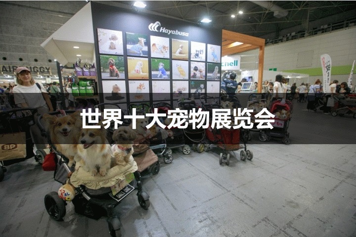 世界十大寵物展覽會(huì)