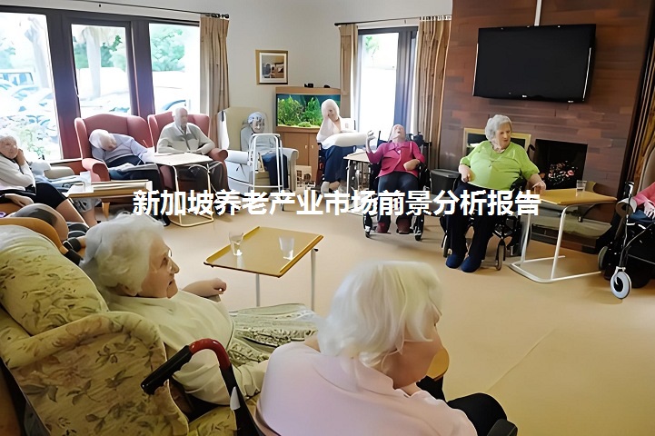 新加坡養老產業市場前景分析報告：康復器械和老年護理用品市場大(m.hnhuay.cn)